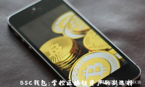 BSC钱包:掌控区块链资产的新选择
