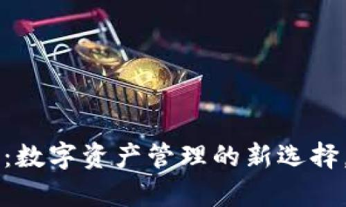 tpWallet灰色图标：数字资产管理的新选择，安全性与便捷并重