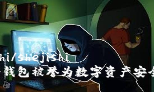shejishi/shejishi
为何冷钱包被誉为数字资产安全之王?
