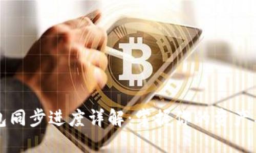 以太坊钱包同步进度详解:掌握你的资产与交易动态
