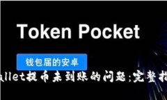 如何解决tpWallet提币未到账的问题：完