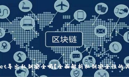 tpWallet导出私钥安全吗？全面解析私钥安全性的关键因素