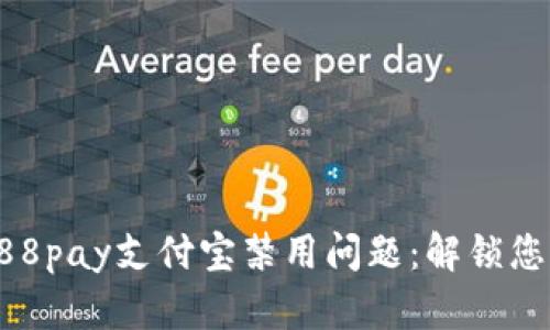 如何解决988pay支付宝禁用问题:解锁您的支付方式