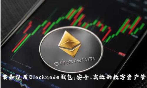 如何下载和使用Blocknode钱包：安全、高效的数字资产管理工具