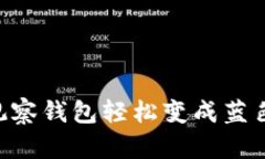 如何将TP观察钱包轻松变成蓝色：完整
