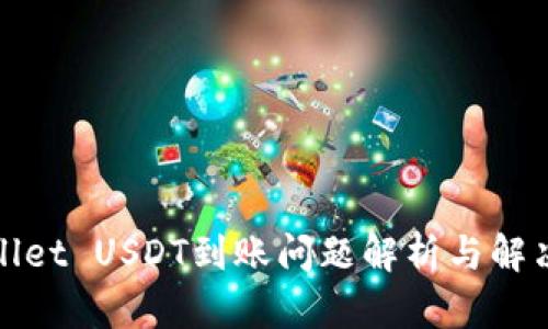 tpWallet USDT到账问题解析与解决方案