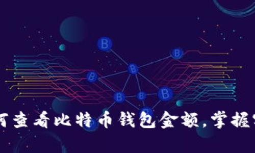 简单步骤教你如何查看比特币钱包金额，掌握实时余额查询技巧