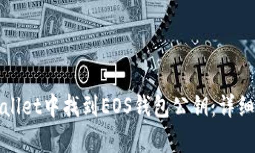 如何在tpWallet中找到EOS钱包公钥:详细步骤与解答