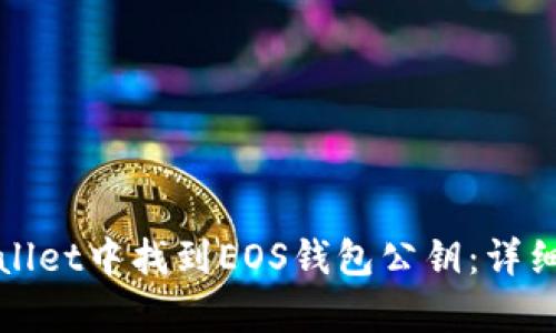 如何在tpWallet中找到EOS钱包公钥:详细步骤与解答