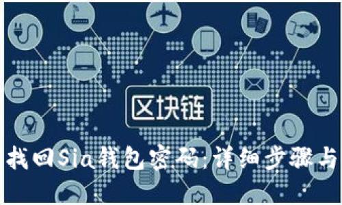 如何找回Sia钱包密码:详细步骤与技巧