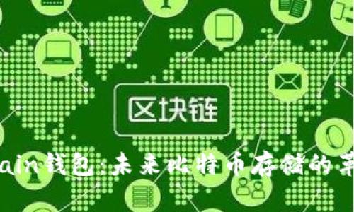 探索Onchain钱包:未来比特币存储的革命性选择