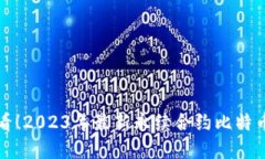 投资者必看！2023年最新永续合约比特