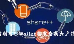 如何利用tpWallet精准查找大户信息？