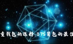 轻钱包与重钱包的选择：BTS背包的最佳