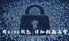 如何正确使用Core钱包：详细指南与常