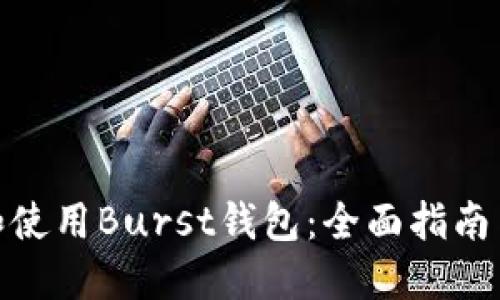 如何下载和使用Burst钱包：全面指南与操作步骤
