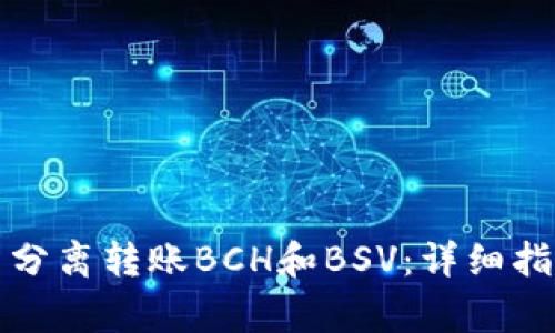如何在货币钱包中分离转账BCH和BSV：详细指南与常见问题解答