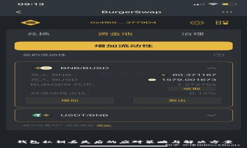 钱包私钥丢失后的应对策略与解决方案