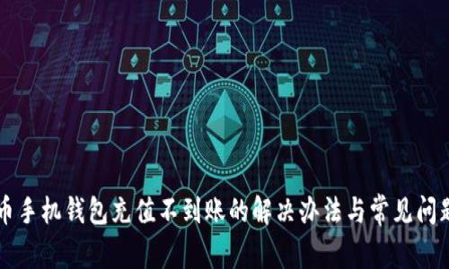 狗狗币手机钱包充值不到账的解决办法与常见问题解析
