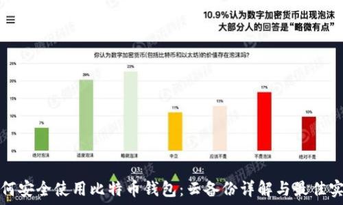   
如何安全使用比特币钱包：云备份详解与最佳实践