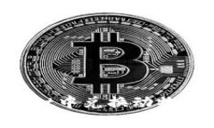 如何在tpWallet中兑换动物币：一步步指