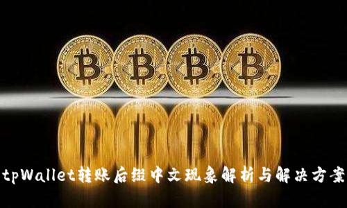 tpWallet转账后缀中文现象解析与解决方案